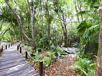 SANDOS CARACOL ECO RESORT&SPA 5*