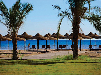Отель AMWAJ BLUE BEACH RESORT & SPA 5*