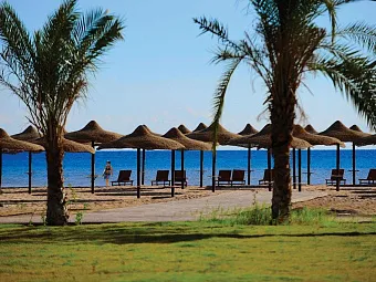 Отель AMWAJ BLUE BEACH RESORT & SPA 5*