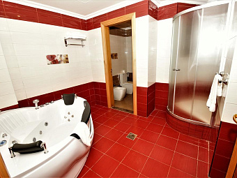 RED CASTLE HOTEL 4*