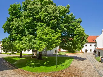 Отель MONASTERY 4*