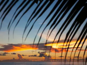 Отель CASTELLO BEACH PRASLIN 4*