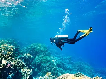  Отель RIXOS SEAGATE SHARM 5*, Египет, Шарм-Эль-Шейх.