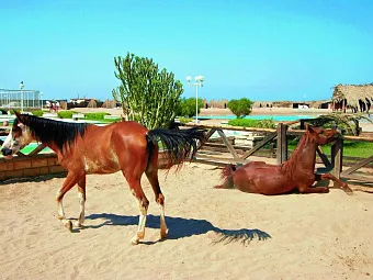Отель JASMINE VILLAGE 3*