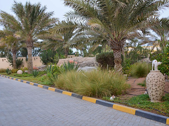 Отель UMM AL QUWAIN BEACH 3*
