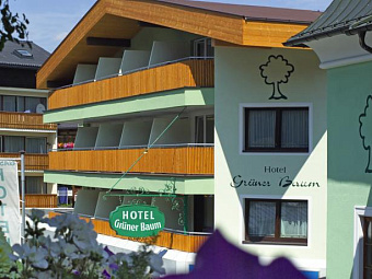 GRUENER BAUM HOTEL 3*