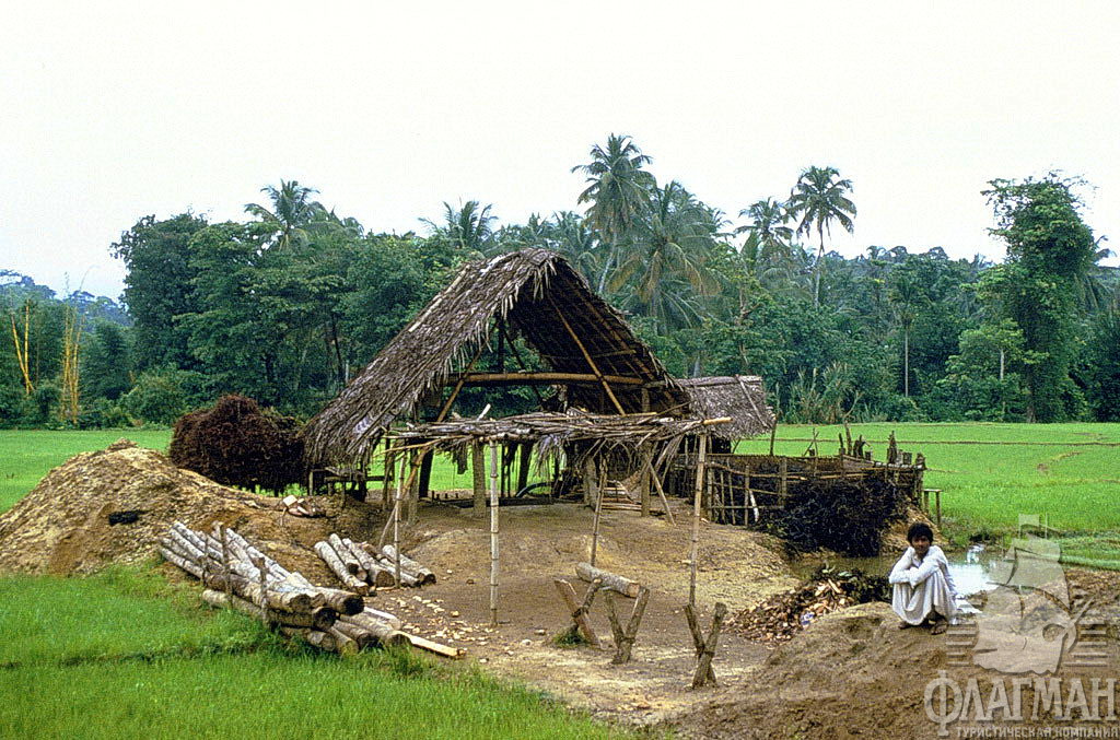 Ratnapura- Шахта по добыче драгоценных камней.