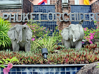   PHUKET ORCHID RESORT & SPA 3*