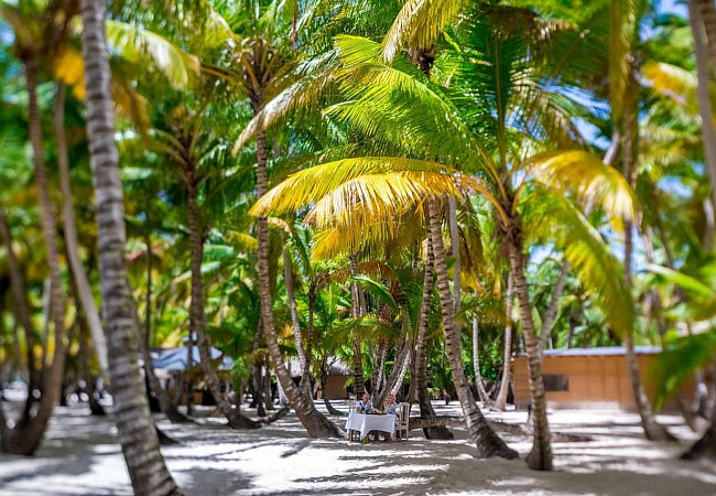 Остров Саона - обед в тени пальм, купание, пляжный волейбол и красивая природа