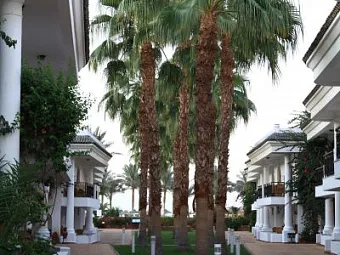 Отель DESSOLE SETI SHARM RESORT 4*