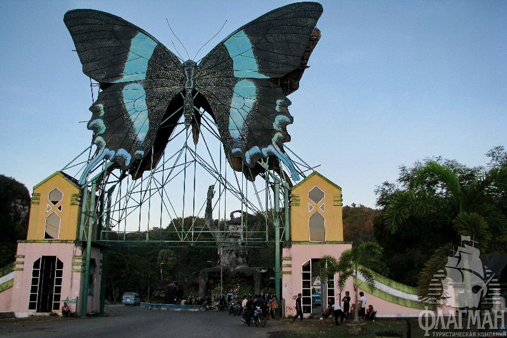 Бантимурунг ещё славен бабочками.