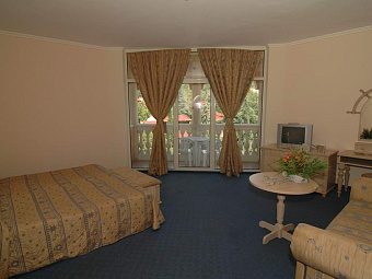  ROYAL PARK ELENITE 4*