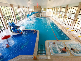 Пансионат ШЕКСНА 4*