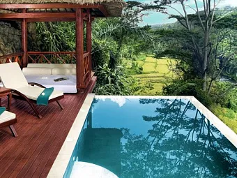 KUPU KUPU BARONG 5*