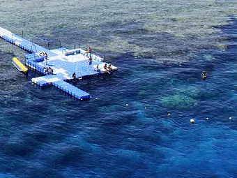  Отель BARON PALMS  SHARM EL SHEIKH 5*,Египет, Шарм-Эль-Шейх.