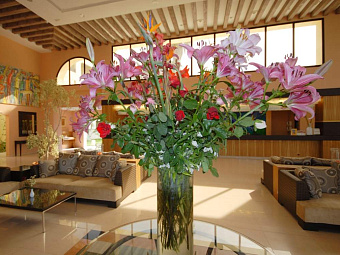 PARADIS PALACE 4*