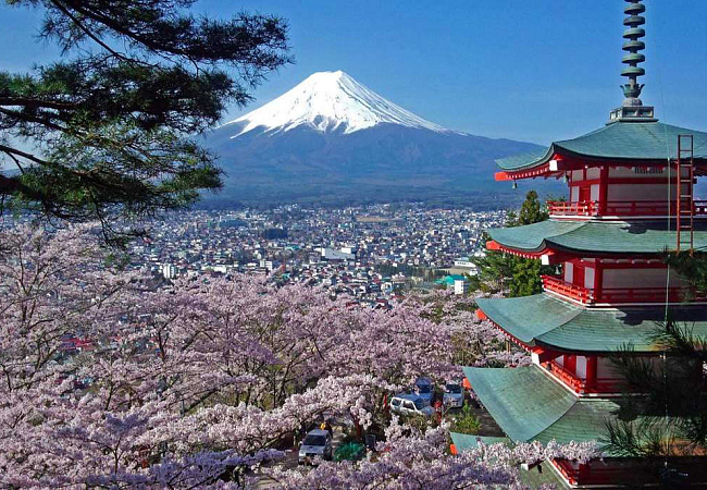 Цветение сакуры в национальном парк Хаконэ