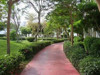 ROYAL SAVOY 5*