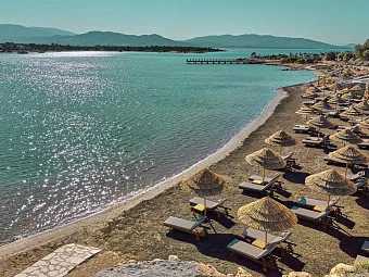 ANDA BARUT COLLECTION 5 *