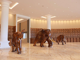 ARALIYA BEACH RESORT & SPA 5*