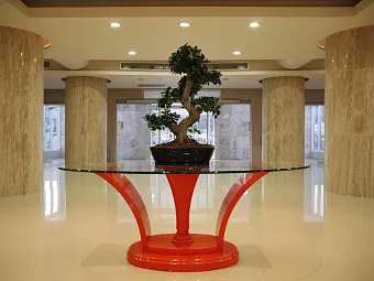 Отель SUN PALACE 4*