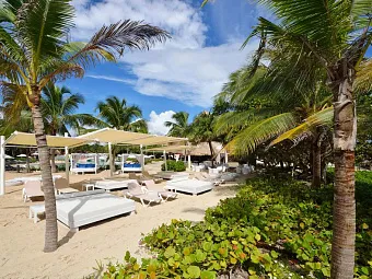 Отель CATALONIA PLAYA MAROMA 4*