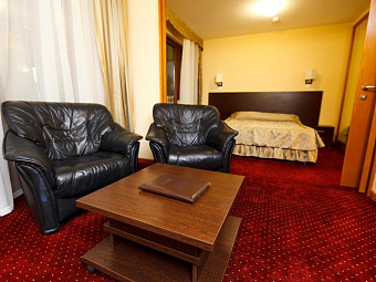 Пансионат ШЕКСНА 4*