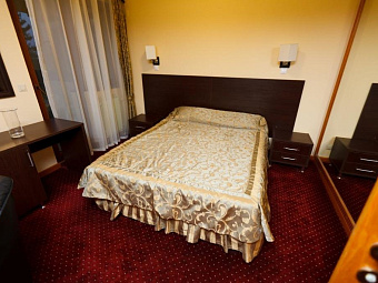 Пансионат ШЕКСНА 4*