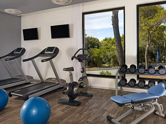 Отель PARK PLAZA ARENA PULA 3*