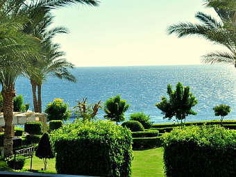   JAZ FANARA RESORT & RESIDENCE 4*, , --.