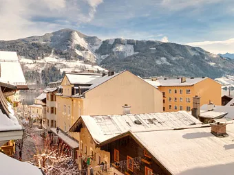 Отель GRUENER BAUM HOTEL 3*