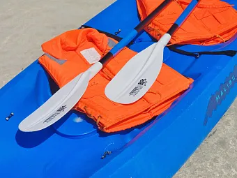 Отель BIRD ISLAND LODGE 3*
