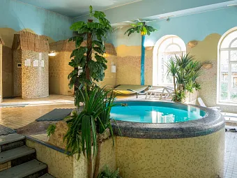 FORESTA FESTIVAL PARK 4*, Подмосковье. Купель в велнес-центре.