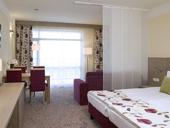  Номер Делюкс-студио в отеле FLAMINGO GRAND 5*
