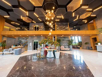 THE NORM COLLECTION DOOR'A 5*