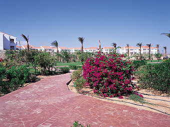  SHERATON SHARM RESORT 4*