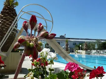Отель CORMORAN 4*