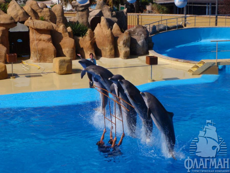 Морской зоопарк Marineland в Коста-Брава