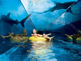 Отель ATLANTIS THE PALM 5*