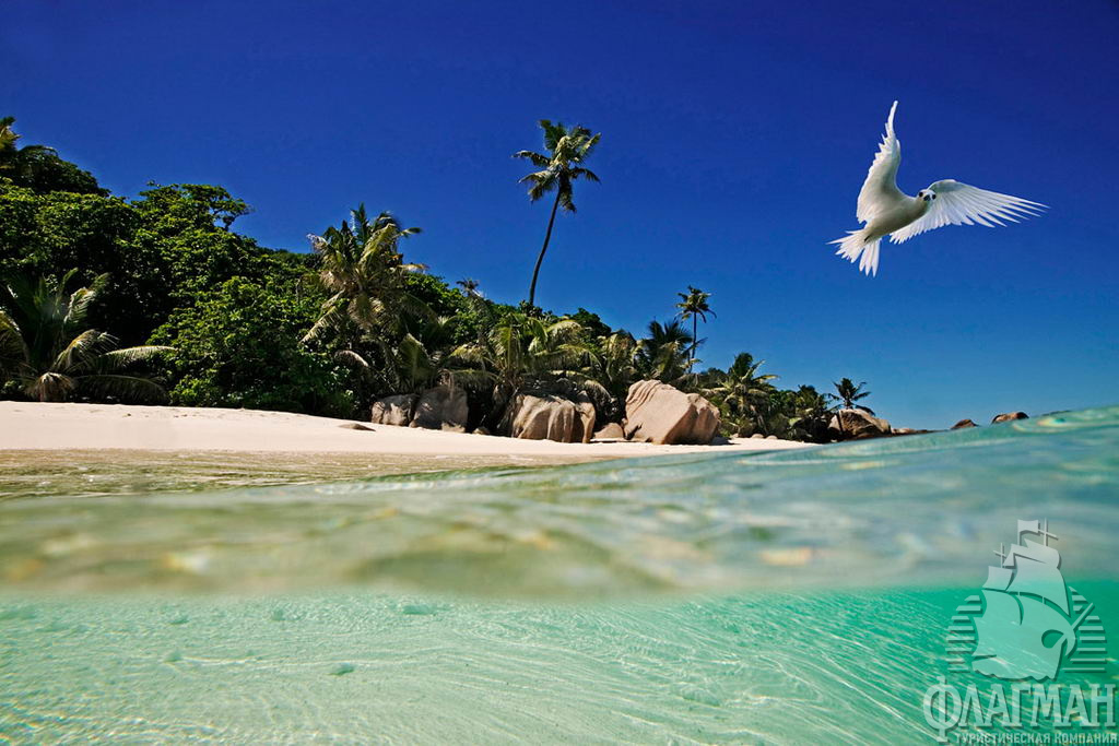 Пляж Cousine island