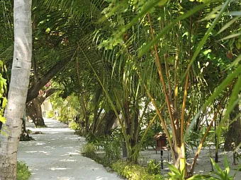 Отель ERIYADU ISLAND RESORT 4*