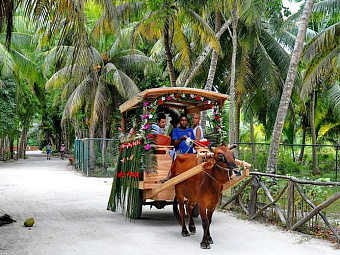 LA DIGUE ISLAND LODGE 4*