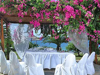 Отель ALION BEACH 5*