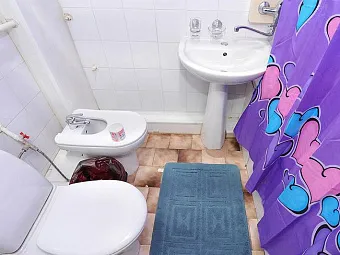 Отель СНЕЖИНКА 3*