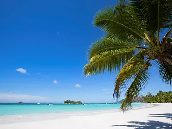 Отель PARADISE SUN PRASLIN SEYCHELLES 4*
