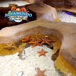 Океанариум Aquamundo в Санто-Доминго