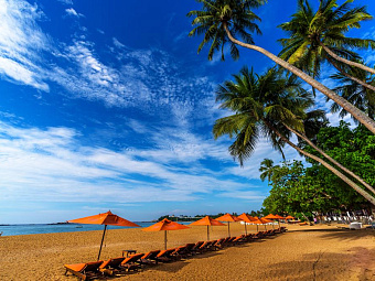 Отель CALAMANDER UNAWATUNA BEACH 3*