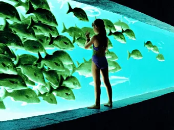 Отель ATLANTIS THE PALM 5*