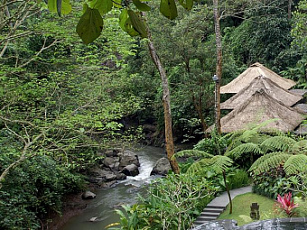 MAYA UBUD RESORT & SPA 5*