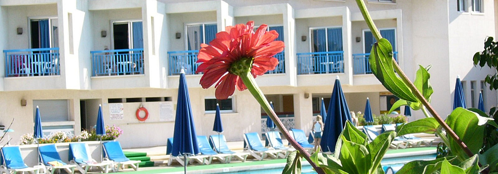 Отель KISSOS 3*, Кипр, Пафос. 